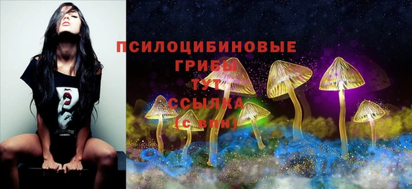 прущие крисы Алзамай