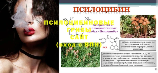 соль ск Алексеевка