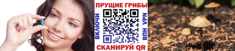 нарко площадка Telegram  Баксан  Галлюциногенные грибы мухоморы 
