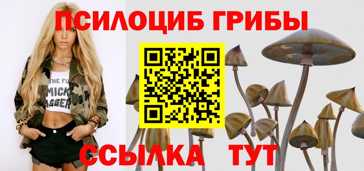 Баксан  Псилоцибиновые грибы Psilocybe  Галлюциногенные грибы MAGIC MUSHROOMS  Вход с VPN 